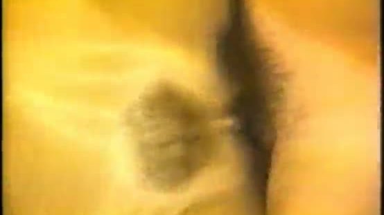 Busty pornstar lynn lemay fucked hardcore